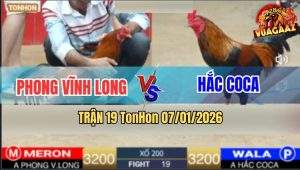 Trận 19 TonHon 7/1/2026 - Anh Hắc Phát Quà 200 Anh Phong Lấy Không Nổi