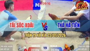 Trận 19 Xà Xía 23/1/2026 - Bướm Tiễn Que Đi Bán Muối Đúng Phút Cuối