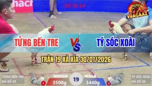 Trận 19 Xà Xía 30/1/2026 - Đỏ Đá Như Máy Điện, Xanh Gục Ngã Tuyệt Đối