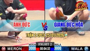 Trận 2 CPC3 25/1/2026 - Anh Giang Đức Hòa Ra 2 Con Gãy Nguyên Một Cặp
