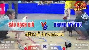 Trận 2 Xà Xía 12/1/2025 - Que Đâm Bướm Ngay Ông Địa Nổi Bảng Tính Tiền