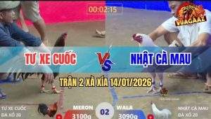 Trận 2 Xà Xía 14/1/2026 - Điều Đâm Quá Rát Úa Chịu Không Nổi Bung Chạy