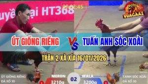 Trận 2 Xà Xía 16/1/2026 - Phút 90 Khét Thấm Tang Gồng Hết Nổi Bỏ Cuộc