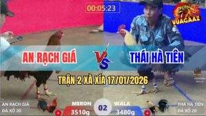Trận 2 Xà Xía 17/1/2026 - Điều Ra Đòn Chí Tử, Chuối Thở Cũng Thấy Mệt