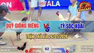 Trận 2 Xà Xía 26/1/2026 - Ô Ướt Anh Quý Đâm Bướm Không Sót Chân Nào