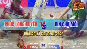 Trận 20 Xà Xía 10/1/2026 - Khét Siết Cây Cần Xách Cổ Gà Úa Ra Ngoài