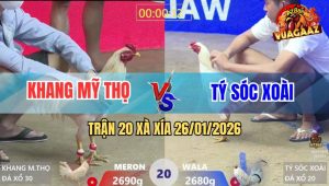 Trận 20 Xà Xía 26/1/2026 - Bướm Đỏ Đá Quá Lực, Xanh Chỉ Biết Bỏ Chạy