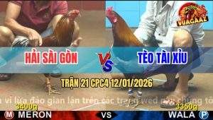 Trận 21 CPC4 12/1/2025 - Que Dắt Tang Anh Tèo Dọc Gà Vô Trong Si Lại