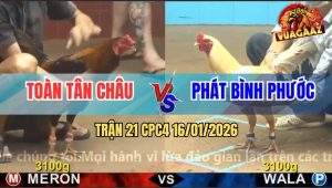 Trận 21 CPC4 16/1/2026 - Khét Vô Ẩu Và Cái Kết Phơi Xác Dưới Chân Úa