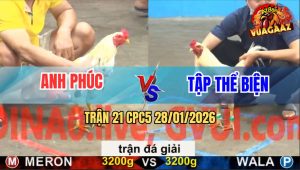 Trận 21 CPC5 28/1/2026 - Tập Thể Biện C5 Tiếp Tục Hạ Anh Phúc