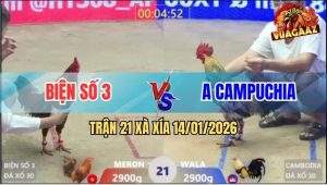 Trận 21 Xà Xía 14/1/2026 - Chuối Chân Xanh Đâm Khét Không Sót Chân Nào