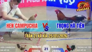 Trận 21 Xà Xía 25/1/2026 - Gà Cú Đâm Điều Anh Kiểm Gục Trên Biển Máu