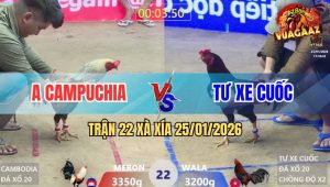 Trận 22 Xà Xía 25/1/2026 - Điều Chồng Độ Chấp Ngông Bị Đá Nằm Bẹp Dí