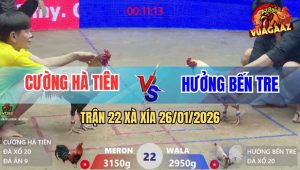 Trận 22 Xà Xía 26/1/2026 - Camelo Anh Hưởng Đá Gà Điều Chạy Kêu Miệng
