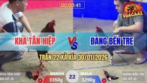 Trận 22 Xà Xía 30/1/2026 - Que Đá Liên Hoàn Cước Đem Điều Bông Đi Cúng