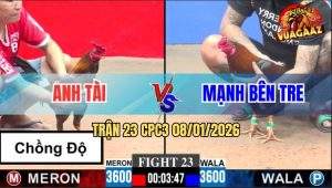 Trận 23 CPC3 8/1/2026 - Xám Anh Tài Chồng Độ Đá Điều Lìa Giò Nhanh Gọn