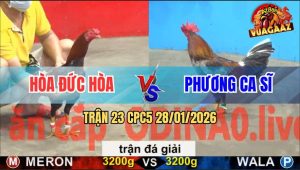 Trận 23 CPC5 28/1/2026 - Anh Hòa Đức Hòa Và Anh Phương Ca Sĩ