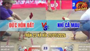 Trận 23 Xà Xía 21/1/2026 - Phút 90 Bướm Anh Nhí Hết Pin Bỏ Miệng Thua