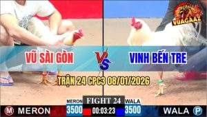 Trận 24 CPC3 8/1/2026 - Bướm Anh Vũ Hít Vô Đá Úa Bay Bồ Trong Nốt Nhạc
