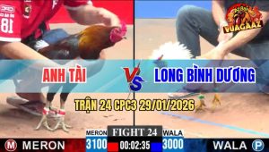 Trận 24 CPC3 29/1/2026 - Anh Tài Và Anh Long, Không Phân Thắng Bại