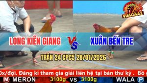 Trận 24 CPC5 28/1/2026 - Đỏ Đá Quá Tịch, Xanh Dính Tang Chạy Trối Chết