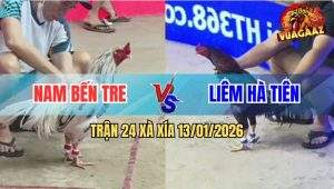 Trận 24 Xà Xía 13/1/2026 - Bướm Chấp 2 Cây Trên Đâm Điều Ra Máu Lòng