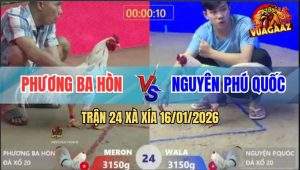 Trận 24 Xà Xía 16/1/2026 - Bông Đâm Ngay Ông Địa, Gà Que Té Xòe Đuôi