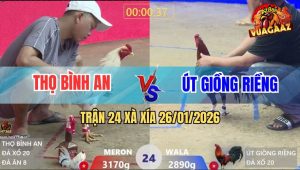 Trận 24 Xà Xía 26/1/2026 - Bướm Nuốt Ói Tiễn Điều Anh Kiểm Lên Đường