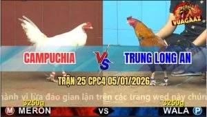 Trận 25 CPC4 5/1/2026 - Gà Que Anh Trung Đá Tăng 1 Tiễn Úa CPC Đi Bụi