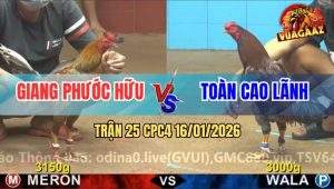 Trận 25 CPC4 16/1/2026 - Khét Đuôi Lao Chặn Đúng Chân Xám Té Ngã Ngữa