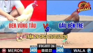 Trận 26 CPC3 25/1/2026 - Camelo Anh Đen Đá Que Anh Gấu Ói Cơm Tốc Chạy