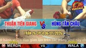 Trận 26 CPC4 6/1/2026 - Bướm Anh Thuận Chưa Đá Đã Bung Chạy