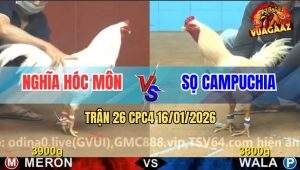 Trận 26 CPC4 16/1/2026 - Úa Anh Nghĩa Có Chân Trời Đánh Hạ Úa Cánh CPC