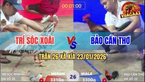 Trận 26 Xà Xía 23/1/2026 - Điều Anh Bảo Cần Thơ Đá Nước Khuya Quá Lực
