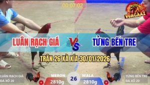 Trận 26 Xà Xía 30/1/2026 - Điều Xanh Chạy Xe Đâm Đỏ Lìa Giò