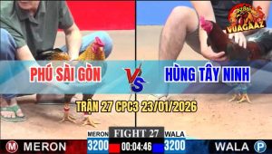 Trận 27 CPC3 23/1/2026 - Điều Dắt Tang Vô Trong Đứt Hơi, Đi Hết Cả Đám