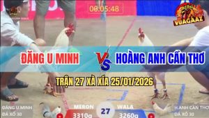 Trận 27 Xà Xía 25/1/2026 - Úa Đâm Phát Nào Thấm Phát Đó, Bướm Tốc Chạy