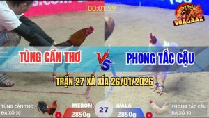 Trận 27 Xà Xía 26/1/2026 - Gà Úa Anh Phong Tắc Cậu Đâm Như Máy Điện