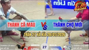 Trận 27 Xà Xía 28/1/2026 - Gà Que Qua Ẩu Bướm Tiễn Đi Gặp Ông Bà