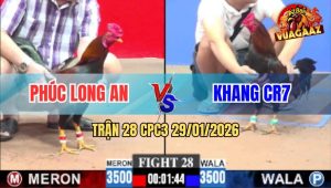 Trận 28 CPC3 29/1/2026 - Má Minh Tiếp Tục Hạ Idol Tính Ga King