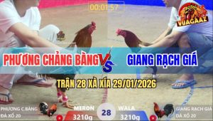 Trận 28 Xà Xía 29/1/2026 - Điều Bông Anh Phương Phản Ăn 2 Quá Hay