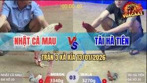 Trận 3 Xà Xía 13/1/2026 - Bướm Chịu Đòn, Phút 90 Xám Hết Pin Bung Chạy