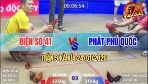 Trận 3 Xà Xía 24/1/2026 - Gà Điều Anh Phát Xấu Xấu Mà Đâm Như Máy Điện