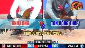 Trận 30 CPC3 23/1/2026 - Que Cọp Anh Long 4G Đâm Như Máy Chém