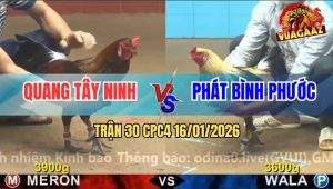 Trận 30 CPC4 16/1/2026 - Điều Dí Bạc Ăn 5 Bị Xám Chuối Đá Bay Cái Bóp