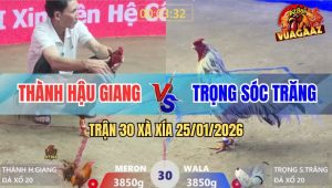 Trận 30 Xà Xía 25/1/2026 - Khét Ngộp Thở Bướm Vả Thêm Cây Cần Xong Đời