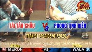 Trận 31 CPC4 5/1/2026 - Gà Úa Anh Phong Đá Phát Nào Điều Ói Phát Đó