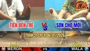 Trận 31 CPC4 6/1/2026 - Anh Tiền Bến Tre Đụng Độ Anh Sơn Chợ Mới