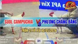 Trận 31 Xà Xía 10/1/2026 - Úa Đâm Quá Ác: Bướm Nhập Thổ Sau 1 Tay Nước