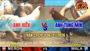 Trận 32 CPC4 6/1/2026 - Điều Xanh Tùng Mìn Đang Đá Chạy Sảng Báo Đời